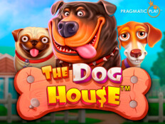 Rüyada çok kağıt para görmek ne anlama gelir. The dog house casino.23